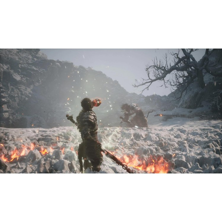 خرید، قیمت و مشخصات بازی Black Myth: Wukong برای کنسول PS5 در سایت Apple sezar